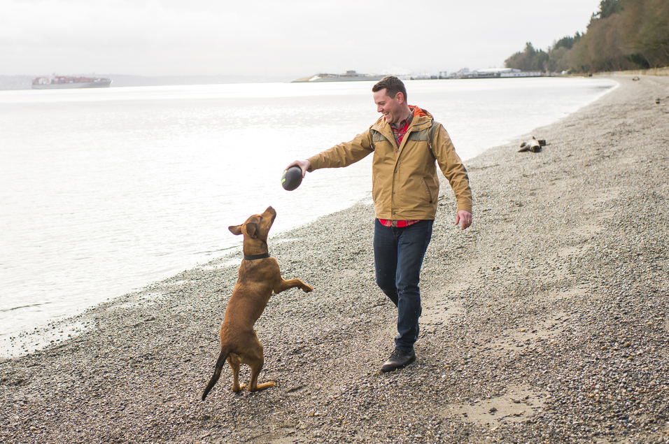 Man and dog playing on a beach