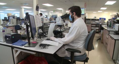 Health worker using a microscope