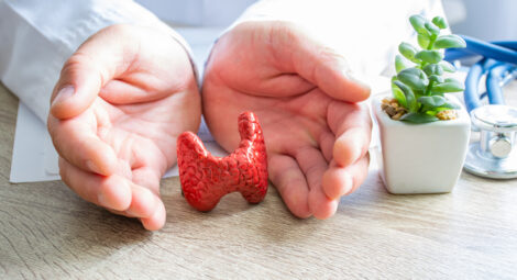 Hands learn a model of an organ