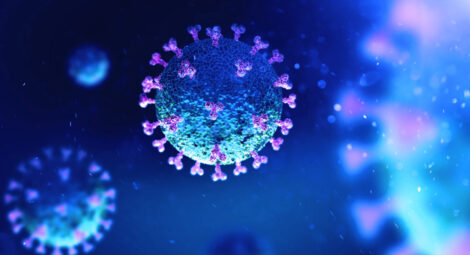 Microscope view of COVID virus