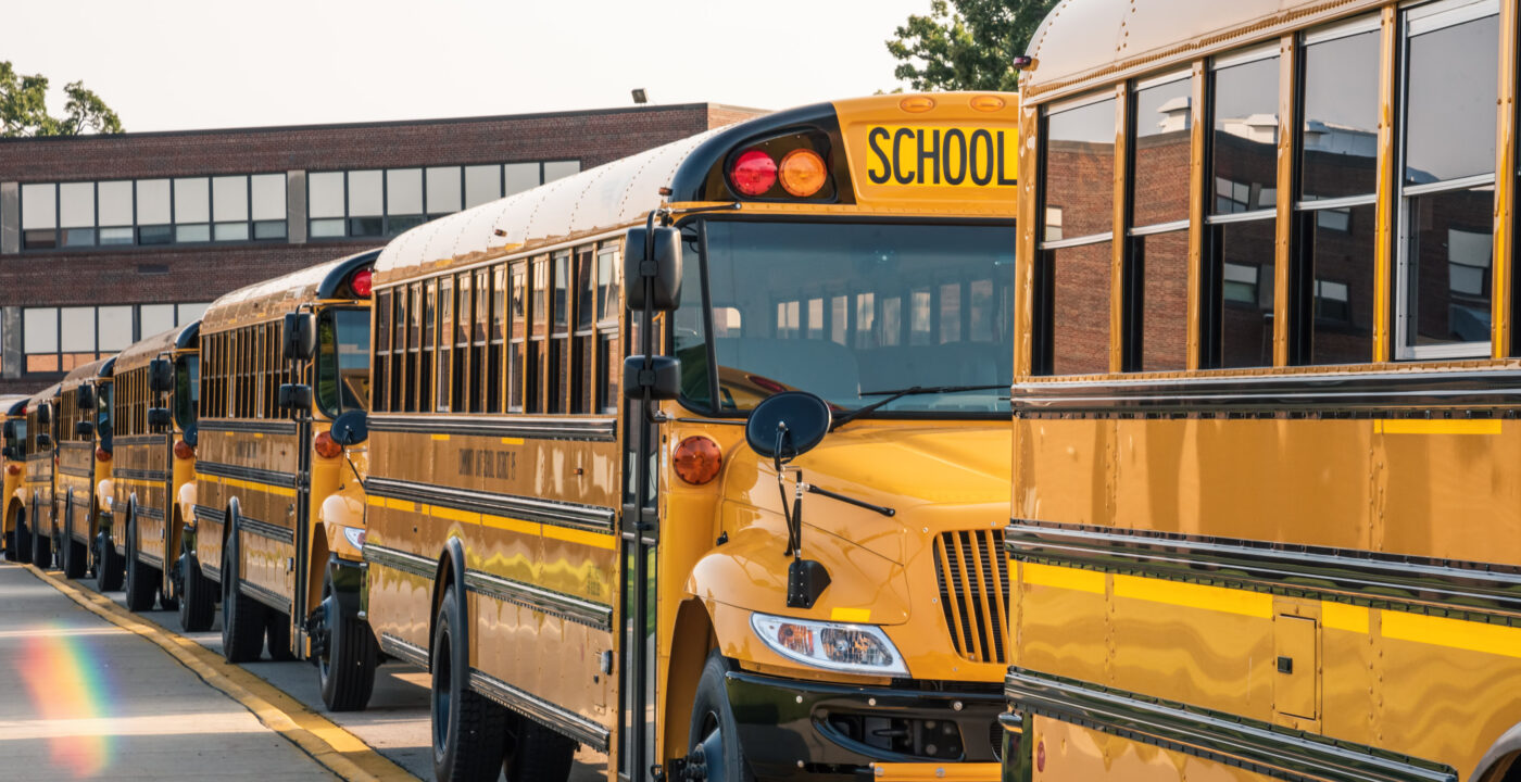 School buses in a parking lot