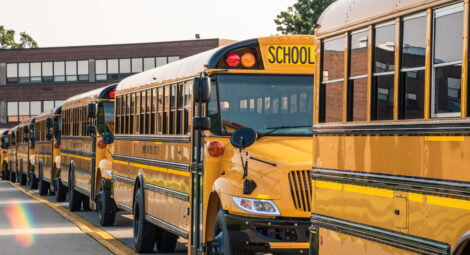 School buses in a parking lot