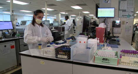 People working in a lab
