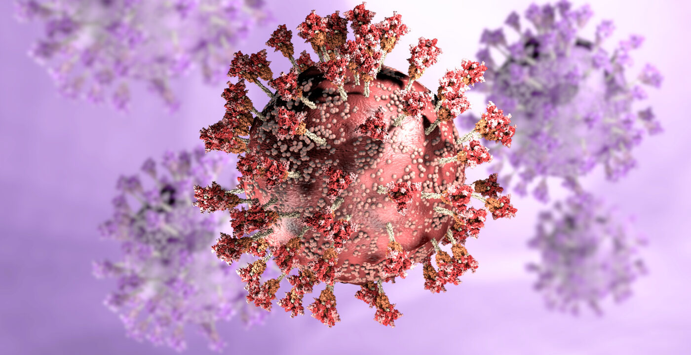 Omicron virus