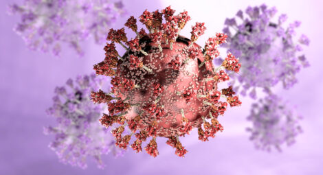 Omicron virus