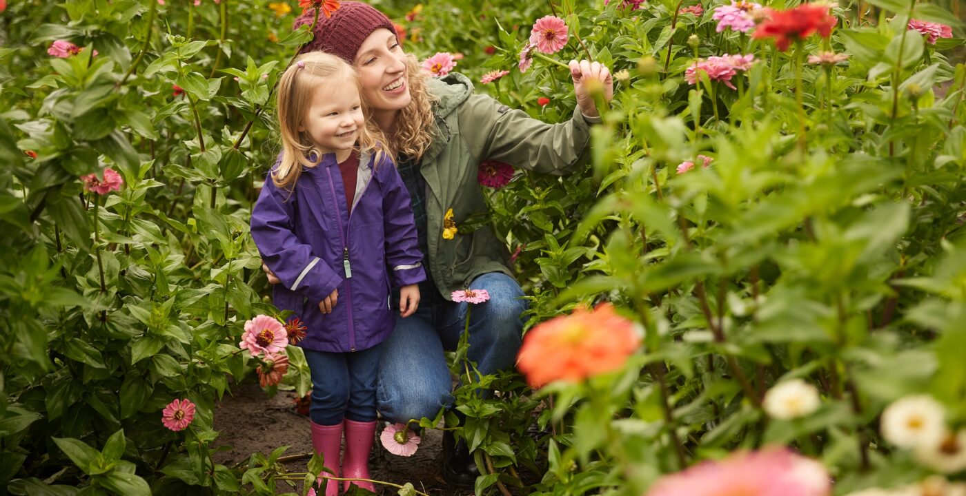 Mother crouches down to show her young daughter a flower as they stand in a field of flowers.