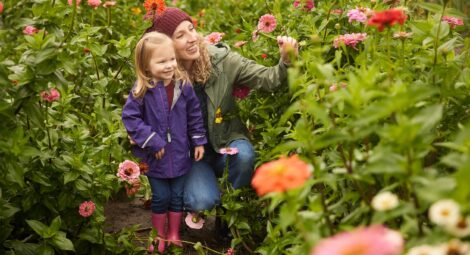 Mother crouches down to show her young daughter a flower as they stand in a field of flowers.