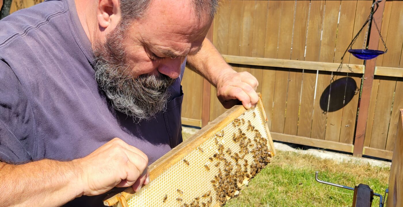 Man holding honeycomb