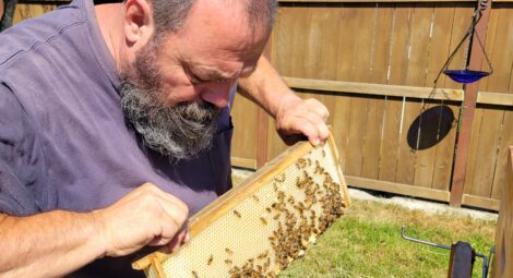 Man holding honeycomb