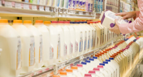 Milk cartoons in a grocery store.