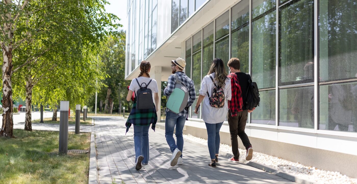 Four college students, viewed from behind, walking together on campus