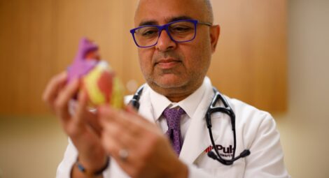 Close-up of a male doctor holding a model of a human heart