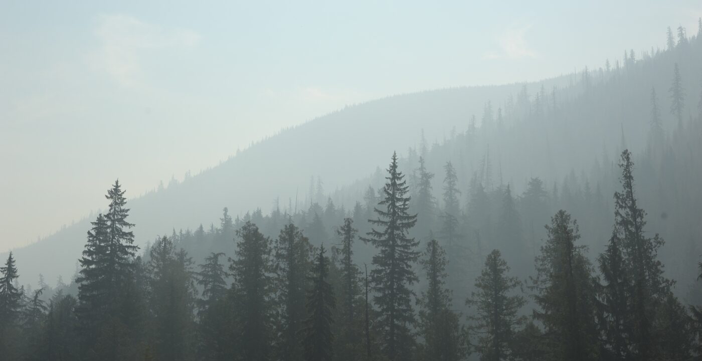 Trees and mountain showing smoky air