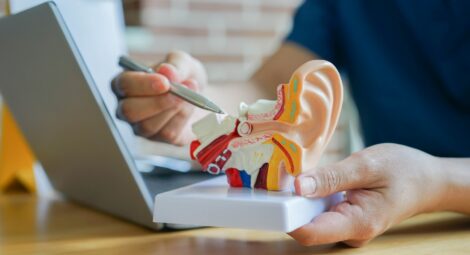 A clinician pointing to a model of the ear with a pen