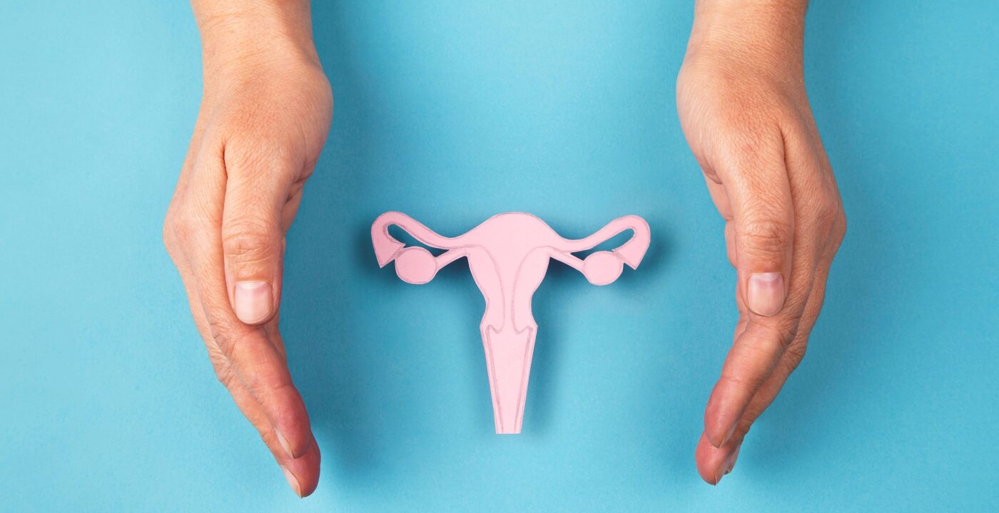 Two hands framing an illustration of the fallopian tubes, ovaries and vagina