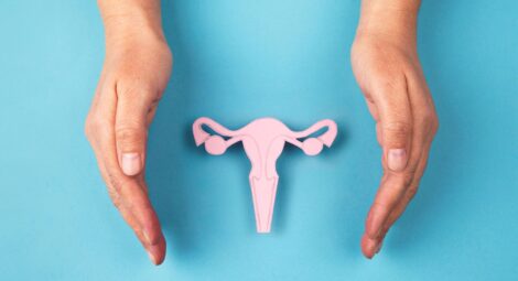 Two hands framing an illustration of the fallopian tubes, ovaries and vagina