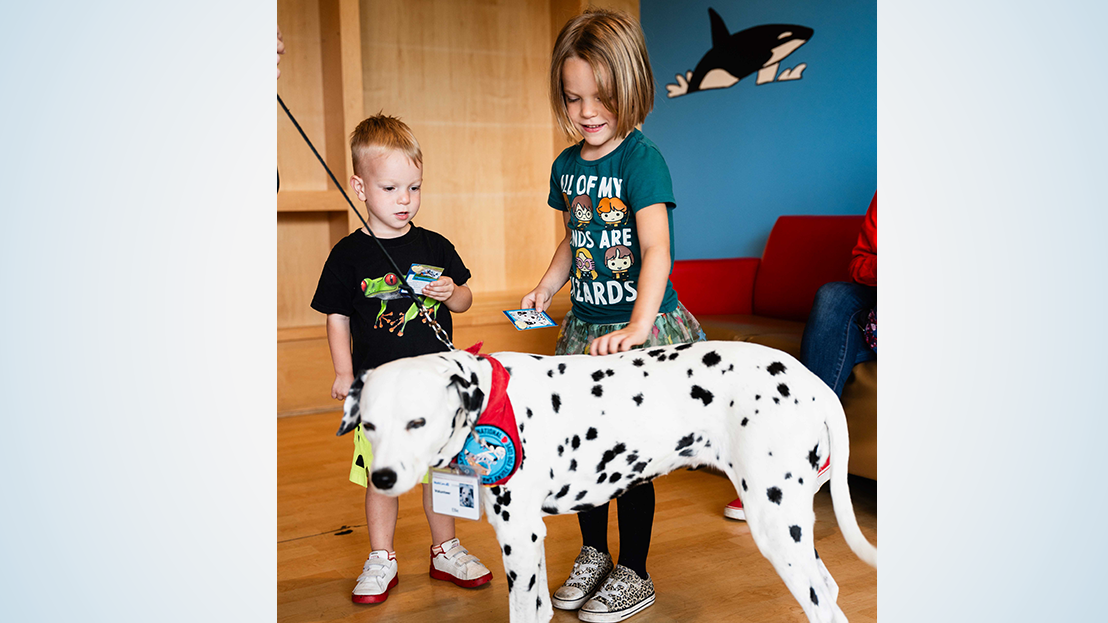 Two children petting a dalmation