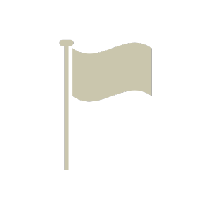 Beige flag