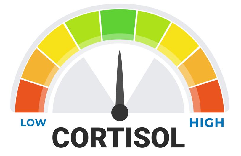 cortisol level meter