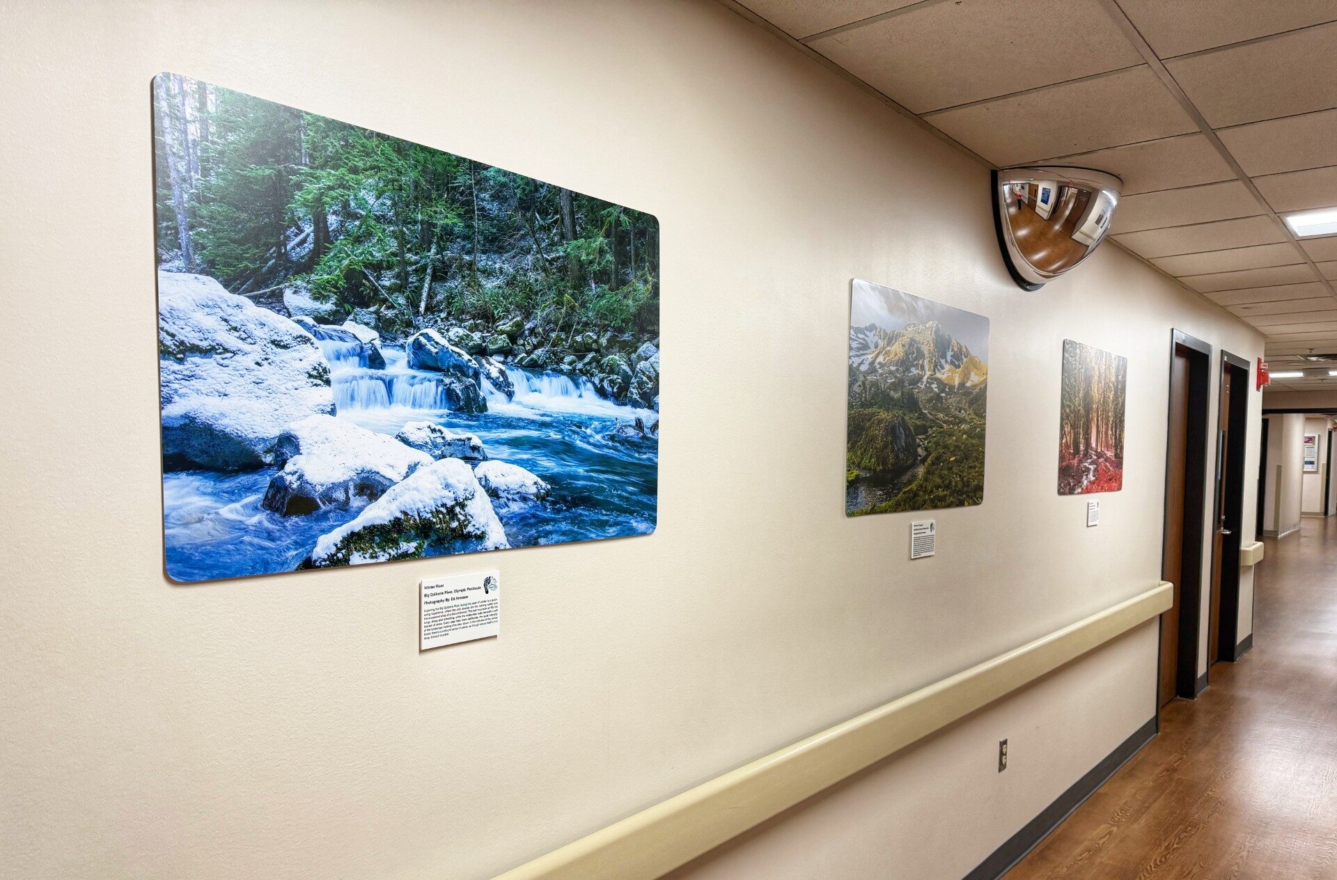 Three nature photographs line a hospital hallway