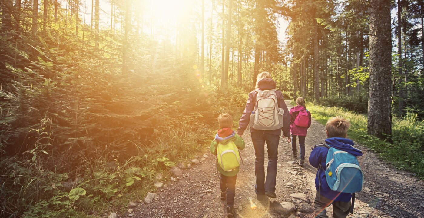 Mother and three kids hiking through a sunny forest. Everybody is wearing backpacks and jackets. Sun is shining brightly.
