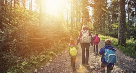Mother and three kids hiking through a sunny forest. Everybody is wearing backpacks and jackets. Sun is shining brightly.