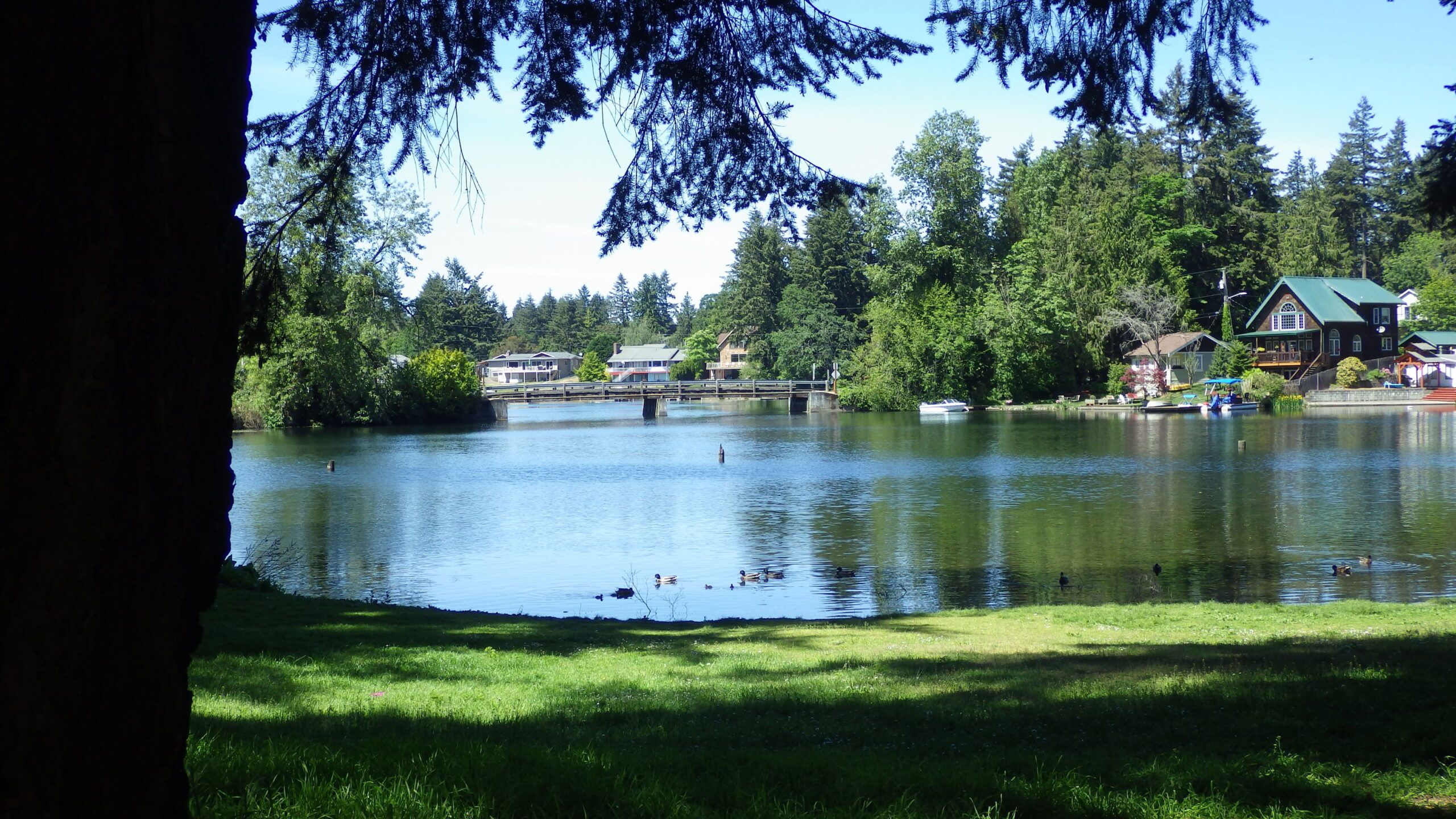 Lake Spanaway