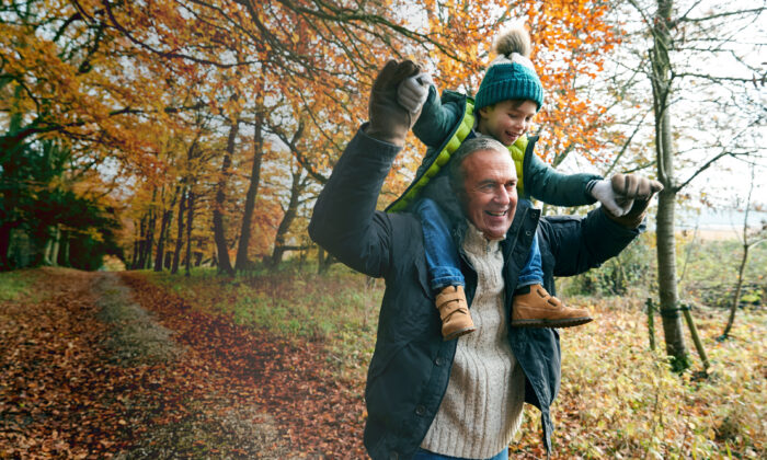 Grandfather Giving Grandson Ride On Shoulders As They Walk Along Autumn Woodland Path