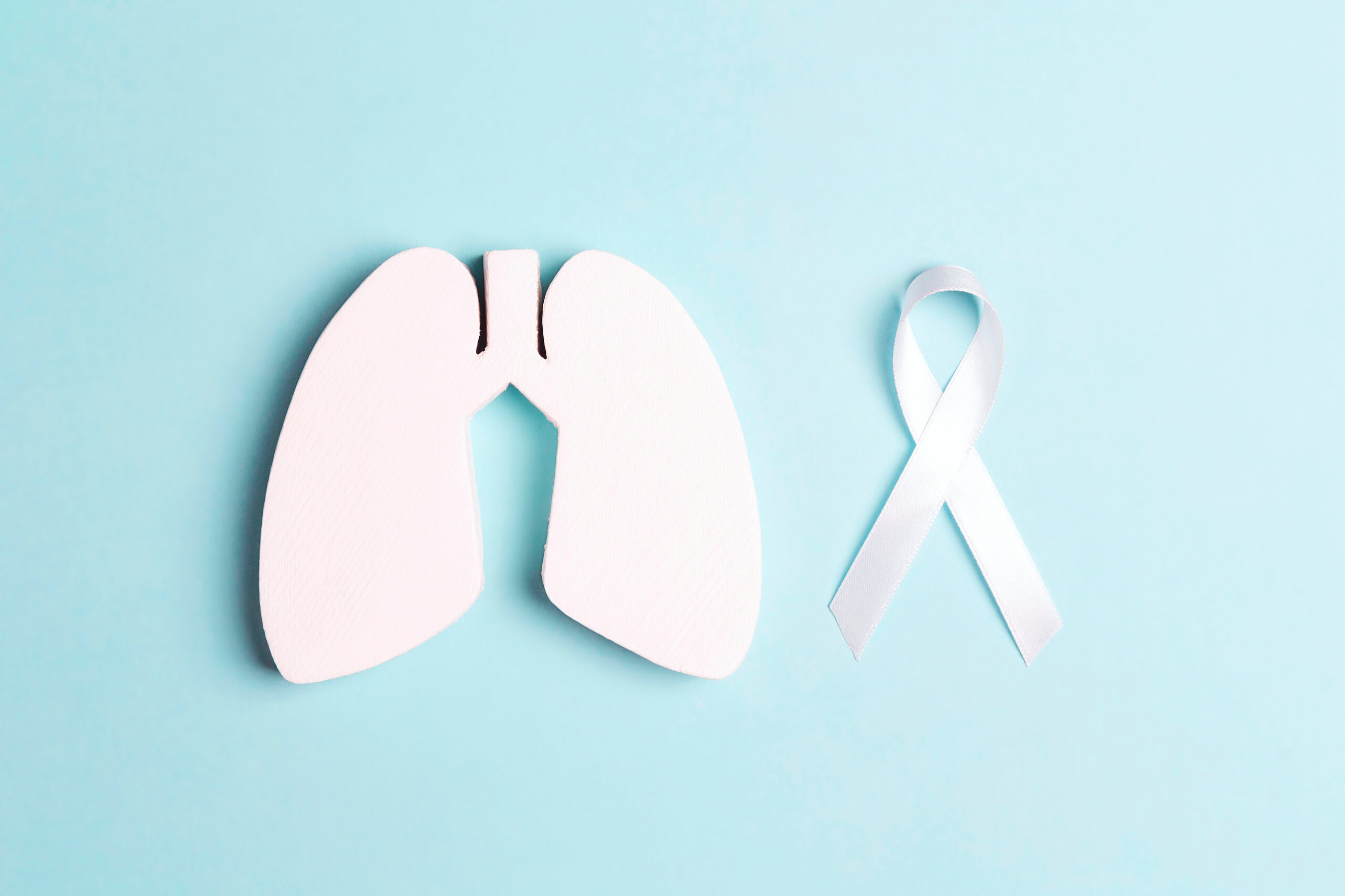A lung and a white ribbon to recognize lung cancer