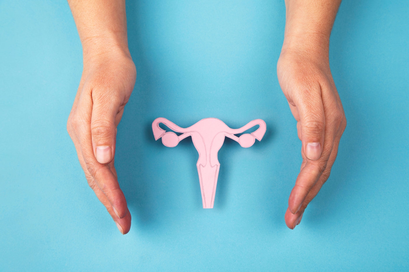 Two hands framing an illustration of the fallopian tubes, ovaries and vagina